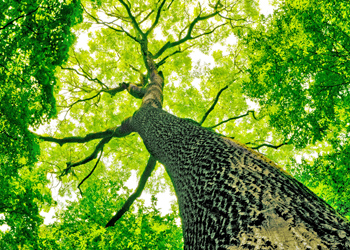 خبر جديد عن الجمعية 1