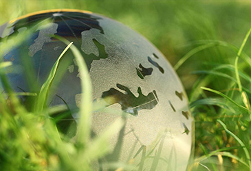 السلة الغذائية