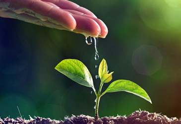 كسوة الشتاء