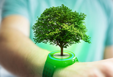 الحقيبة المدرسية