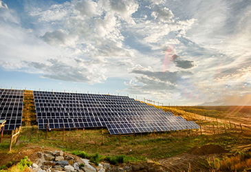 المساعدات المالية