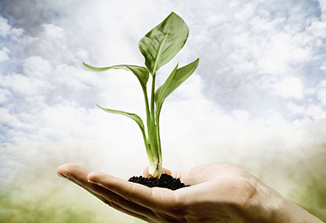 المساعدات العلاجية