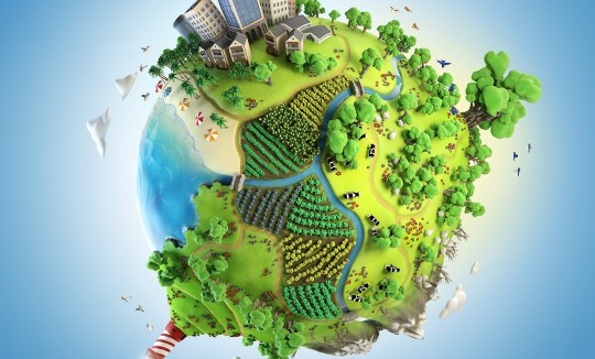 كفالة اليتيم