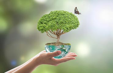 كسوة العيدين والشتاء